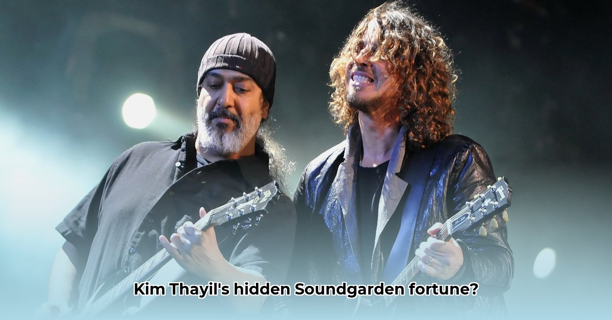 kim-thayil-net-worth